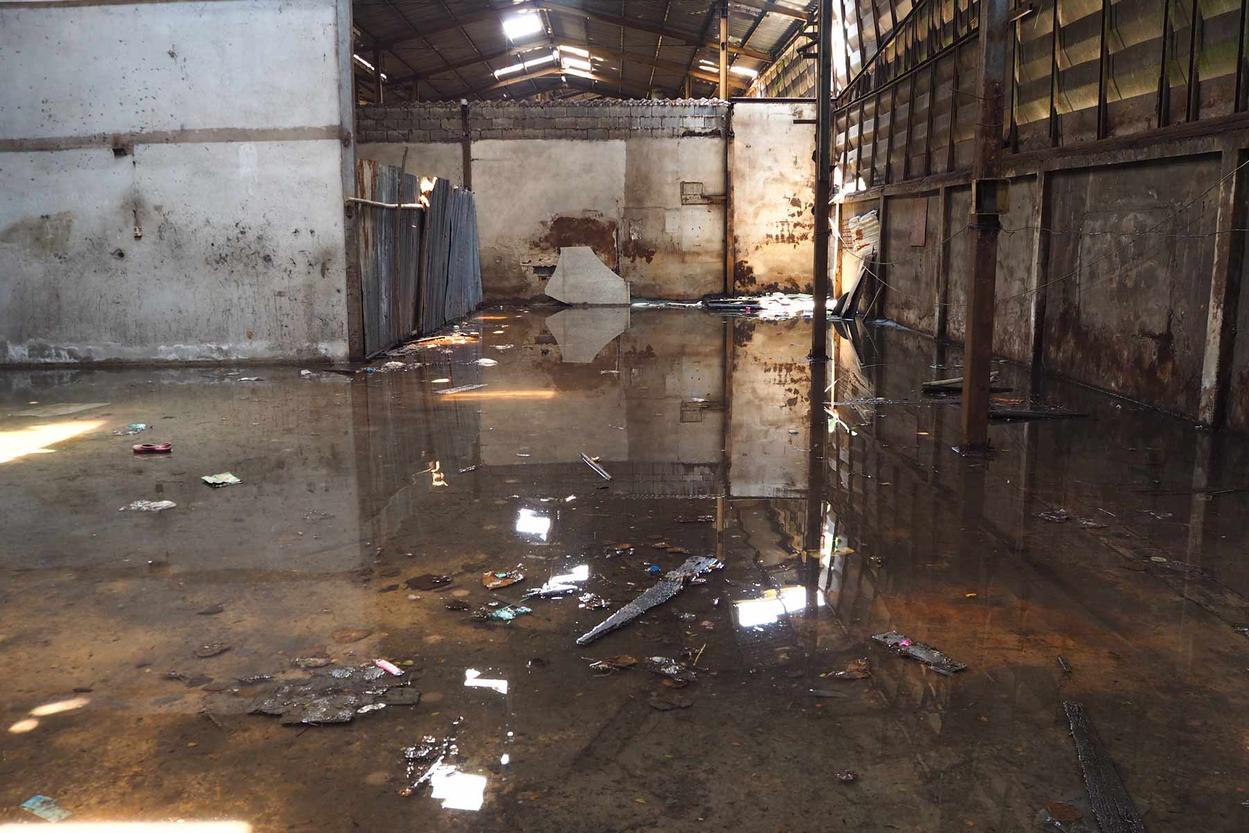 basement flood cleanup Lenexa KS 