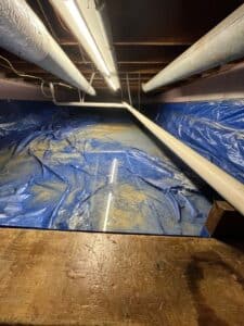 Needra Hoover - Estimate Mitigation - Fine Restoration